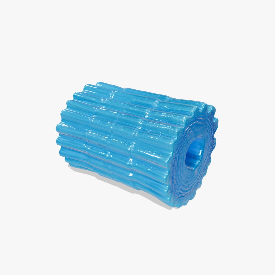 Textured Blue Foam Roller Model Pack